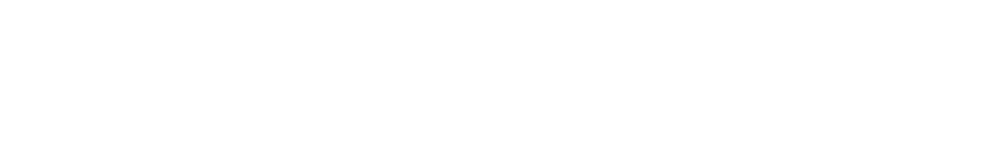 KLEINHENZ + FRIES